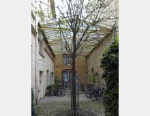 Ein Innenhof mit Kopfsteinpflaster, in dessen Mitte ein baumloser Gitterverschlag um einen jungen Baum steht. Umgeben von gelben Backsteinfassaden und verputzten Wänden, ist im Hintergrund ein eingezäuntes Tor mit roten Fensterrahmen sowie abgestellte Fahrräder zu sehen.