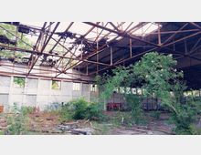Verlassene Industriehalle mit teils eingestürztem Dach und rostenden Stahlträgern, durchsetzt von wuchernder Vegetation. An den Wänden sind Graffiti zu sehen, die Fenster sind teilweise zerbrochen oder fehlen.