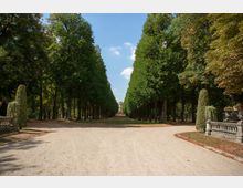 Weitläufige Parkanlage mit einem breiten, sandigen Weg, der von zwei symmetrischen Baumreihen gesäumt wird. Im Hintergrund ist ein historisches Gebäude sichtbar, und an den Wegesrändern befinden sich verzierte Steinbalustraden und kunstvoll geschnittene Sträucher.