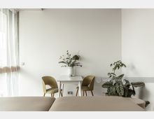 Minimalistisch eingerichteter Raum mit weiß gestrichenen Wänden, einem kleinen Tisch mit zwei Stühlen in Grün, einer Blumenvase als Dekoration und mehreren Zimmerpflanzen. Tageslicht fällt durch einen großen Vorhang aus transparentem Stoff auf der linken Seite ein.