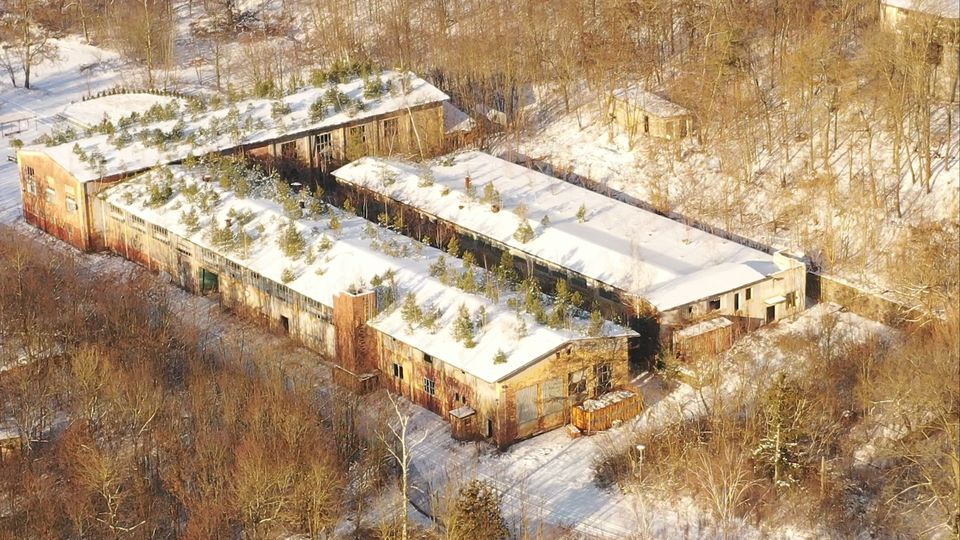 Luftaufnahme eines verlassenen Industriekomplexes mit mehreren langgestreckten Gebäuden und flachen, schneebedeckten Dächern, aus denen kleine Bäume und Sträucher wachsen. Die Anlage liegt am Waldrand in einer winterlichen Landschaft, umgeben von kahlen Bäumen und verschneiten Wegen.