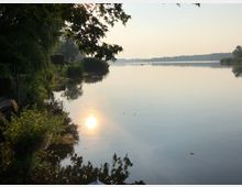 Seeufer mit ruhigem Wasser, umgeben von dichter Vegetation und blick auf eine bewaldete Uferlinie in der Ferne. Die tiefstehende Sonne spiegelt sich auf der glatten Oberfläche des Sees.