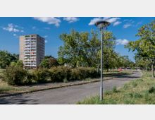 Hochhaus mit Balkonen in einer grünen Wohnumgebung, umgeben von Bäumen und Sträuchern, mit einem Gehweg und einer Straßenlaterne im Vordergrund. Der Himmel ist blau mit vereinzelten weißen Wolken.