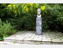 Denkmal mit einer Büste von Anton Saefkow auf einem rechteckigen Sockel mit Inschrift, umgeben von dichtem Grün aus Bäumen und Sträuchern. Der Sockel steht auf einer gepflasterten Plattform.