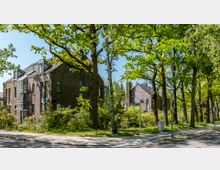 Moderne Wohnhäuser aus Backstein mit großen Fenstern, umgeben von einer grünen, baumbestandenen Wohnstraße. Im Vordergrund verläuft ein Gehweg neben der Fahrbahn, während Straßenschilder und Laternen den Gehwegrand säumen.