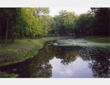 Waldlandschaft mit einem schmalen Teich, umgeben von dichtem, grünem Laubwald. Am Ufer sind Grasflächen und eine Sitzbank sichtbar, die entspannte Parkatmosphäre vermitteln.