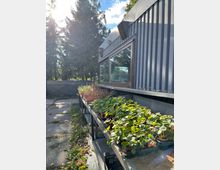 Grauer Containerbau mit großen Fenstern, umgeben von hohen Nadelbäumen. Im Vordergrund stehen auf Metalltischen Töpfe mit jungen Erdbeerpflanzen und anderen Pflanzen, mit Blättern und einigen Früchten.