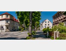 Baumgesäumte Wohnstraße mit breitem Gehweg und Kopfsteinpflasterstreifen, flankiert von mehrstöckigen Altbauten mit Putzfassaden und roten Ziegeldächern. Entlang der Straße stehen Verkehrsschilder, Laternen und niedrige Zäune mit Hecken vor den Häusern.
