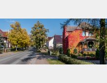 Straßenszene in einer Wohngegend mit herbstlich gefärbten Bäumen und einem mit roten Weinreben bewachsenen Haus. Auf der linken Seite der Straße stehen weitere Wohnhäuser mit gepflegten Vorgärten.