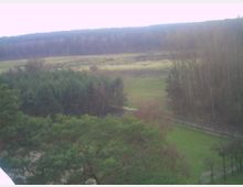 Weitläufige Landschaft mit einer Mischung aus Wiesen, hohen Bäumen sowie einem angrenzenden Waldgebiet im Hintergrund, durchzogen von einem schmalen Weg und einer angedeuteten Zaunlinie.