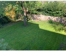 Grüne Gartenfläche mit einem großen Baum in der Mitte, umgeben von Büschen und Sträuchern. Im Hintergrund befindet sich ein Sichtschutzzaun aus Bambus sowie dichte Vegetation.