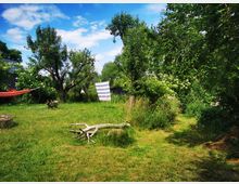 Grüne Gartenlandschaft mit Bäumen und dichtem Gebüsch, einer rot gestreiften Hängematte links, einem quer aufgehängten gestreiften Tuch und Wildgras. Im Vordergrund liegen Baumäste und ein Baumstumpf auf einer Wiese unter blauem Himmel.