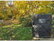 Ein kleiner Waldweg mit Herbstlaub umgeben von Bäumen in Gelb- und Grüntönen. Im Vordergrund stehen eine Holzbank und eine schwarze Plane mit einem durchsichtigem Fenster, die auf einem Holzpodest befestigt ist.