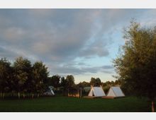 Eine Wiese mit mehreren kleinen, weißen Zeltkonstruktionen auf Holzböden, umgeben von Bäumen und Sträuchern unter einem teils bewölkten Himmel.