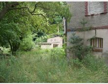 Eine verwilderte Grünfläche mit dichtem Bewuchs aus Bäumen, Sträuchern und hohem Gras. Rechts im Bild befindet sich ein verfallenes Gebäude mit grauer Fassade, Backsteinrahmen um die Fenster und sichtbaren Beschädigungen.