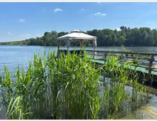 Holzsteg an einem ruhigen See mit einem kleinen, überdachten Pavillon am Ende. Im Vordergrund wachsen hohe Schilfpflanzen am Ufer, im Hintergrund verläuft eine bewaldete Uferlinie unter blauem Himmel.