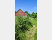 Ziegelscheune mit einem steinernen Fundament und einem roten Giebeldach auf einer Wiese mit hohem Gras und Büschen im Vordergrund; umgeben von Baumgruppen unter klarem, blauem Himmel.