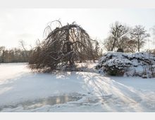Verschneite Winterlandschaft mit einem überhängenden Baum, der von Schnee bedeckt ist, sowie Sträuchern und Bäumen im Hintergrund. Eine leicht vereiste Fläche ist im Vordergrund sichtbar, mit langen Schatten, die über den Schnee fallen.
