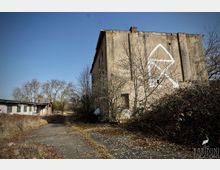 Verlassenes, mehrstöckiges Betongebäude mit verwitterter Fassade und großem Graffiti an der Seitenwand, umgeben von überwuchertem Gelände und kahlen Bäumen. Im Vordergrund führt ein rissiger Asphaltweg zu weiteren niedrigen Gebäudeteilen unter klarem Himmel.