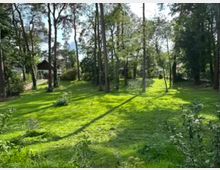 Weitläufige Wiese mit vereinzelten Bäumen in einem bewaldeten Garten, umgeben von dichten Sträuchern und Häusern im Hintergrund. Sonnenlicht fällt durch das Blätterdach, und ein Rasensprenger ist in der Mitte sichtbar.