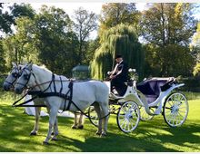 Eine weiße Pferdekutsche mit zwei weißen Pferden steht auf einer grünen Wiese in einem Park. Im Hintergrund sind Bäume, ein kleiner Teich und ein Pavillon zu sehen; der Kutscher trägt einen schwarzen Hut und Anzug.