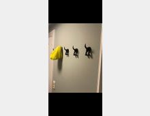 Vier schwarze Wandhaken in der Form von Katzenrücken mit erhobenem Schwanz sind an einer hellgrauen Wand befestigt. Ein gelbes Handtuch hängt an einem der Haken, und links ist ein Lichtschalter zu sehen.