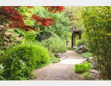 Ein asiatischer Garten mit einem geschwungenen Weg, umgeben von dichtem Grün, Bambus und roten Ahornblättern. Im Hintergrund ist ein kleiner Pavillon mit Ziegeldach und eine Steinlaterne sichtbar.