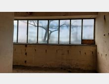 Ein leerer, verfallener Raum mit einer hohen Fensterreihe aus undurchsichtigem Glas, durch das die Silhouette eines Baumes sichtbar ist. Die Wände sind stark abgenutzt mit schwarzen Flecken, und ein Teil des Fensters wurde mit Holzplatten abgedeckt.