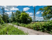 Ländlicher Weg, umgeben von dichter Vegetation mit Bäumen und Sträuchern. Im Hintergrund sind Felder und ein blauer Himmel mit weißen Wolken zu sehen; Strommasten stehen entlang des Weges.