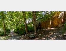 Schattiger Parkweg mit hohen Bäumen, einer alten Backsteinmauer und einer grünen Bank im Vordergrund. Der Weg führt entlang der Mauer durch eine dicht bewachsene Umgebung.