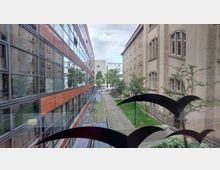 Blick auf einen schmalen Innenhof zwischen einem modernen Gebäude mit Glasfassade und einem historischen Gebäude mit beiger Putzfassade. Der gepflasterte Weg ist von kleinen Grünflächen und Bäumen gesäumt, im Hintergrund sind weitere Gebäude sichtbar.
