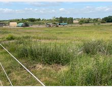 Weite Landschaft mit grünen Wiesen, vereinzelt hohem Gras und Zäunen im Vordergrund. Im Hintergrund befinden sich mehrere Weideunterstände, Pferde und eine leicht bewaldete Umgebung unter einem bewölkten Himmel.