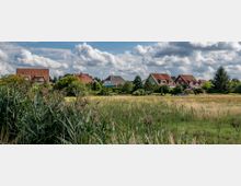 Ein ländlicher Ort mit Einfamilienhäusern, die rote und braune Dächer haben, umgeben von Bäumen und Gärten. Im Vordergrund befinden sich hohe Gräser und Wiesen, darüber ein Himmel mit dichten Wolken.