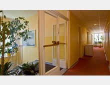 Ein Innenraum mit einem gelb gestrichenen Flur, roten Teppichboden und weißen Türen. Links führen eine Glastür und eine Treppe in einen Bereich mit Pflanzen und einem großen Fenster.