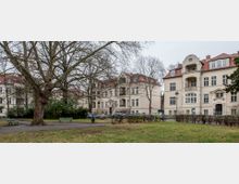 Städtischer Park mit einer großen, unbelaubten Platane im Vordergrund, umgeben von gepflegten Grünflächen und Parkbänken. Im Hintergrund stehen helle, mehrstöckige Wohngebäude mit roten Dächern und klassischer Architektur.