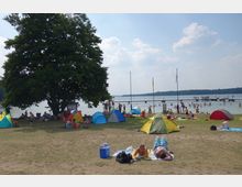 Ein Badesee mit Liegewiese, auf der Menschen unter einem großen Baum und in der Sonne entspannen. Mehrere bunte Zelte und Handtücher sind aufgestellt, während im Hintergrund Badegäste im Wasser und auf einem Steg zu sehen sind.