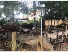 Ein Außenbereich mit alten Holzpferdekutschen, umgeben von Bäumen und Laternen im Vintage-Stil. Im Vordergrund sind grobe Holz- und Metallabsperrungen sowie Ketten und Seile sichtbar.