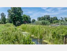 Eine grüne, bewachsene Landschaft mit hohem Gras und Büschen, durchzogen von einem kleinen Wasserlauf. Im Hintergrund sind ein rotes Holzhaus, weitere Gebäude und zahlreiche Bäume sichtbar.