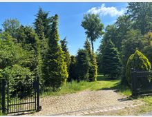 Einfahrt zu einem parkähnlichen Garten mit Kopfsteinpflasterweg und geöffneten schwarzen Metalltoren, umgeben von hohen immergrünen Nadelbäumen und dichtem Laub. Im Hintergrund führt eine gepflegte Rasenfläche in einen von Bäumen gesäumten Bereich unter blauem Himmel.