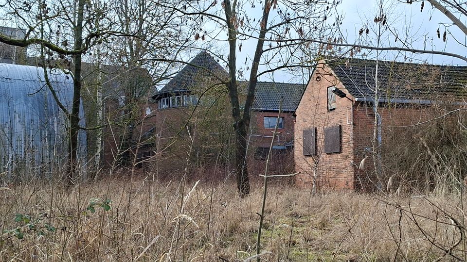 Verwildertes Gelände mit hohem Gras und kahlen Bäumen vor mehreren Backsteingebäuden mit dunklen Ziegeldächern, darunter ein runder Turmanbau mit Fensterband. Links steht eine große Halle mit Wellblechverkleidung, rechts ein kleines Backsteinhaus mit teilweise vernagelten Fenstern.