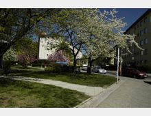 Wohnstraße mit blühenden Bäumen, darunter Kirschbäume, und einer gepflegten Grünfläche im Vordergrund. Im Hintergrund sind mehrstöckige Wohngebäude, parkende Autos und ein Straßenschild zu sehen.