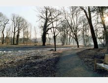 Waldweg in einer winterlichen Parklandschaft mit kahlen, hohen Bäumen, einem schmalen Wasserlauf und einer Holzbank am rechten Bildrand. Die Sonne scheint durch die Bäume, und der Boden ist stellenweise mit Frost bedeckt.