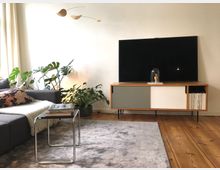 Helles Wohnzimmer mit Holzfußboden, grauem Sofa und einem Beistelltisch aus Metall und Glas. Auf der linken Seite stehen grüne Zimmerpflanzen, rechts ein Holzsideboard mit Schiebetüren, darauf ein großer Flachbildfernseher und eine Dekoration unter einer Glashaube.