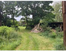 Ein ländliches Grundstück mit einem grasbewachsenen Weg, umgeben von hohen Bäumen, dichter Vegetation und einem Holzunterstand. Im Hintergrund sind eine offene Wiese und ein angedeuteter Zaun zu sehen.