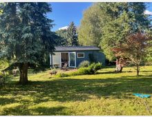 Ein Garten mit einem kleinen blauen Gartenhaus im Hintergrund, umgeben von großen Bäumen, Sträuchern und einer gepflegten Rasenfläche. Im Vordergrund steht eine Tanne, und links daneben liegen Gartenmöbel und ein Rechen auf dem Rasen.