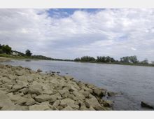 Flussufer mit großen, unregelmäßigen Steinen im Vordergrund und einem ruhigen Fluss, der sich bis zum Horizont erstreckt; am gegenüberliegenden Ufer sind Bäume und vereinzelt Häuser zu sehen, unter einem Wolkenhimmel.