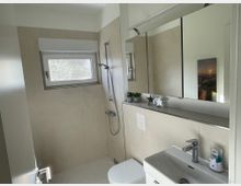 Modernes Badezimmer mit beiger Wandverkleidung, einem kleinen Fenster, einer Dusche mit Handbrause und einer weißen Toilette. Ein Waschbecken mit Spiegel und Ablage, auf der Dekorationen und Pflanzen stehen, befindet sich rechts.