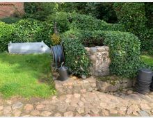 Ein mit Natursteinen umrandeter Brunnen, der teils von Efeu überwuchert ist, steht neben einer Steinpflasterfläche und einer Wiese. Daneben befinden sich ein Gartenschlauch auf einer Aufrollvorrichtung, eine Gießkanne und mehrere schwarze Plastikeimer; im Hintergrund ist eine Metallwanne sichtbar.