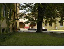Grüne Innenhofansicht mit einem großen Baum im Vordergrund, umgeben von einer Hausfassade mit Efeu und einem historischen Gebäude mit gelben Ziegeln. Im Hintergrund sind Rundbögen, rote Sitzbänke und ein gepflasterter Boden sichtbar.
