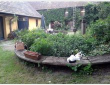 Ein ländlicher Hof mit gelbem Gebäude und blauem Holztor, umgeben von viel Grün und einem Gartenbereich. Im Vordergrund liegt eine Holzbank mit Terrakottatöpfen, auf der eine schwarz-weiße Katze ruht. Im Hintergrund ist eine mit Efeu bewachsene Mauer und eine Leiter sichtbar.